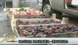 718吃瓜网官网传送,带你领略网络娱乐新风向