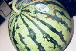 网红店吃瓜,一探究竟的美食之旅