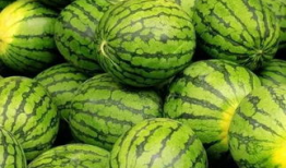 吃瓜网官网免费,免费畅享娱乐资讯的乐园